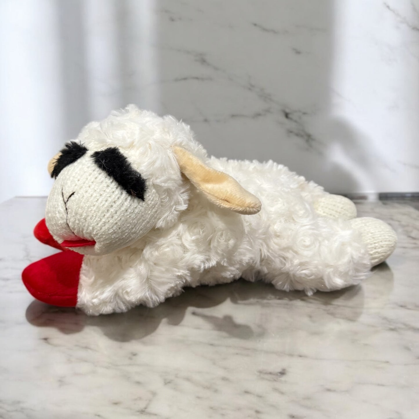 Penny's Favorite Dog Toy