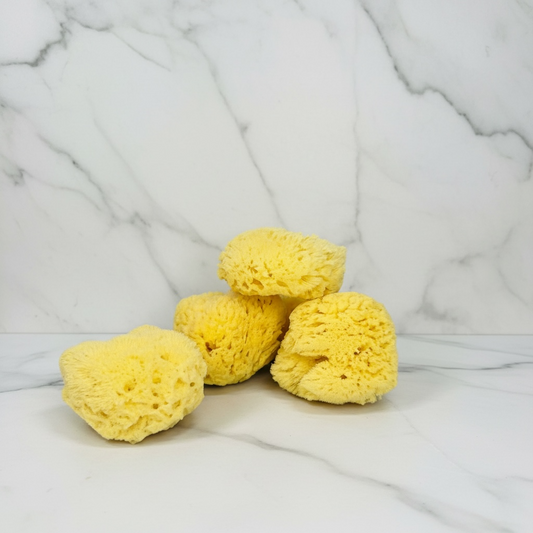 Natural Sea Sponge